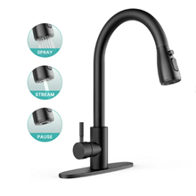 Kitchen Sink Faucets with Pull Down Sprayer, High Arc Single Handle with Water Lines