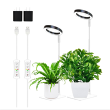 GPED Plant Grow Light, LED Growing Light for Indoor Plants