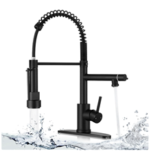 GPED Kitchen Faucet with 2 Function Sprayer, Kitchen Sink Faucet with Pull Down Sprayer