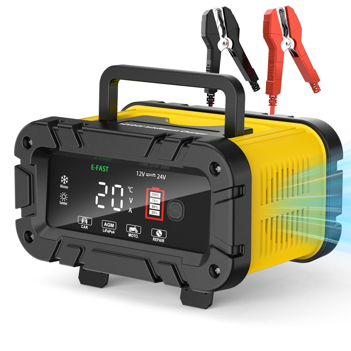 20A Battery Charger 12V/24V LiFePO4 Lead Acid Fully Automatic Battery Maintainer