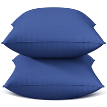 Throw Pillow Inserts Set of 2, Indoor Decorative 18x18 inches Square Pillows for Couch, Sofa, Bed