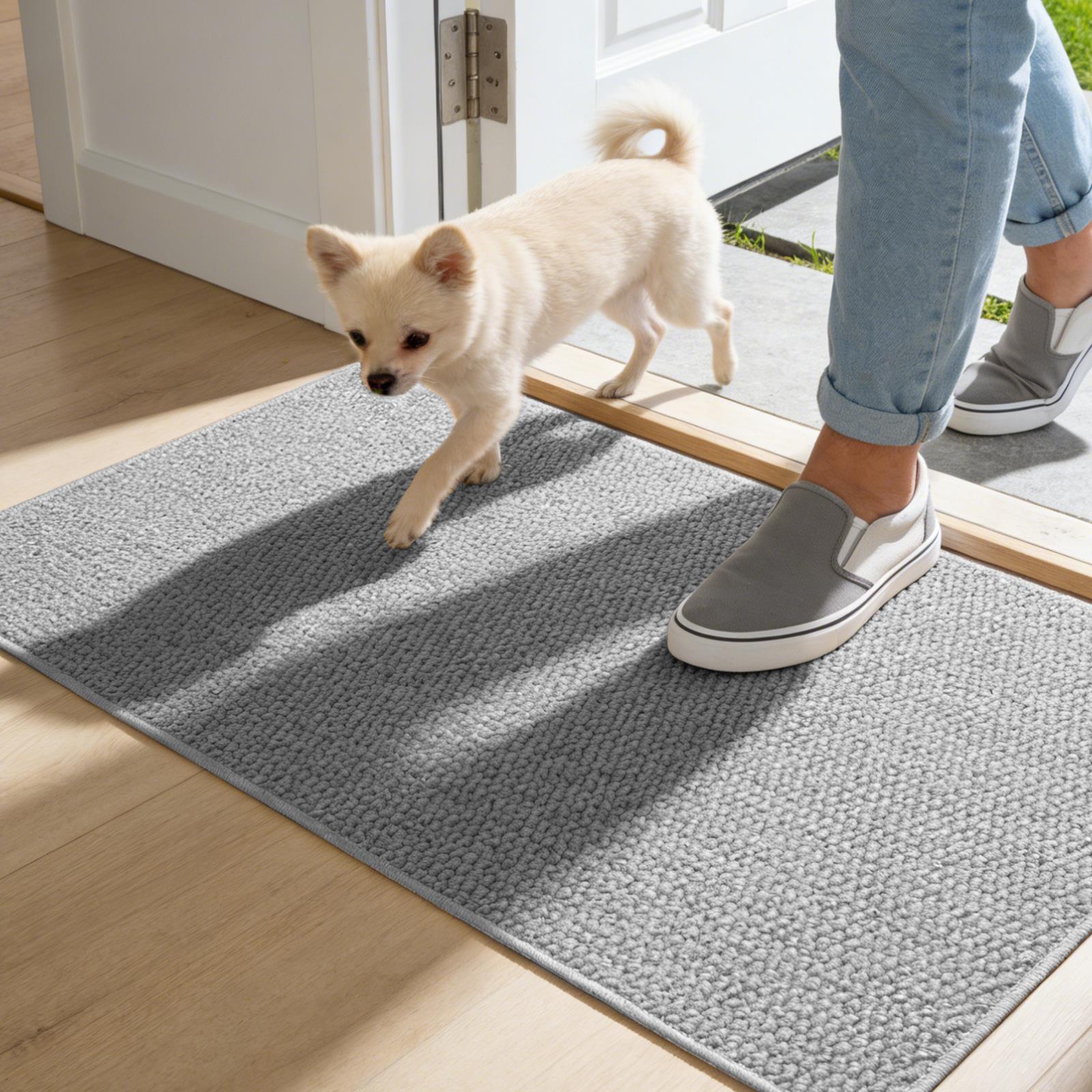 Door Mat Indoor Outdoor, 24