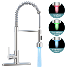 GPED Kitchen Faucet with Pull Down Sprayer