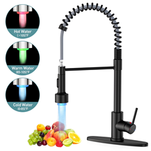 GPED Kitchen Faucet with Pull Down Sprayer & 3-Modes LED Light